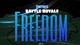 Fortnite Freedom