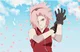 Sakura haruno