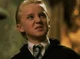 Draco chikito