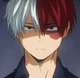 Shouto Todoroki