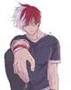 Aromantic Todoroki