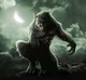 Alpha werewolf