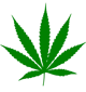 Weed -MD-