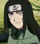 Neji Hyuuga 