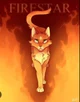 Warrior cats rp
