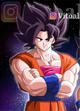 Mul goku 