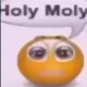 HOLY MOLY