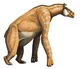 Not a horse