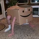 The Amazon Box Man