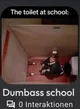 Dumbass school 