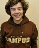 Harry Styles 