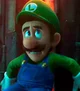 luigi 12