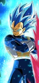 SSB Evolved Vegeta