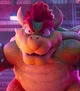 bowser 12