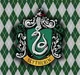 Slytherin boys