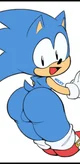 Sonic clasic booty