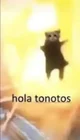 Hola Tonotos