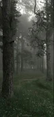 The Demon forest 