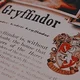 Gryffindor chicos 