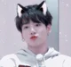 Jungkook catboy 