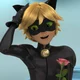 Chat noir