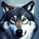 Wolf 1