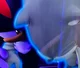 Sonic and shadow