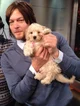 Norman Reedus