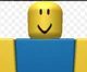 Roblox Newbie