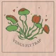 Venus Fly Trap