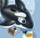 Inflatable Orca TF