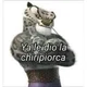 Chiripiorca
