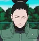 Shikamaru Nara 