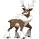Sawsbuck