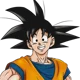 Son Goku