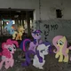 Mlp infection RPG