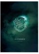 The Slytherin boys
