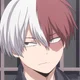Shoto Todoroki 