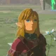5tloz Link