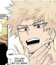 Katsuki bakugou