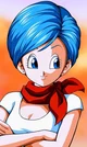 Bulma Briefs