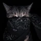- Robber cat -