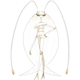 Pheromosa