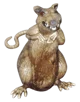 Crusty Rat