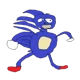 SANIC