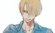 Roommate Sanji 