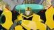 Bumblebee- RID15