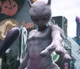Mewtwo -DP Version-