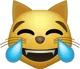 Laughing Cat Emoji