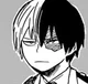 Shoto Todoroki 